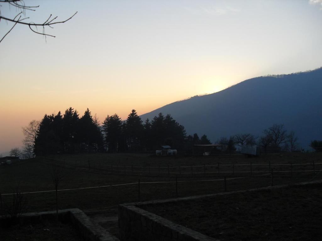 Agriturismo Le Vigne Montale (Tuscany) Room photo