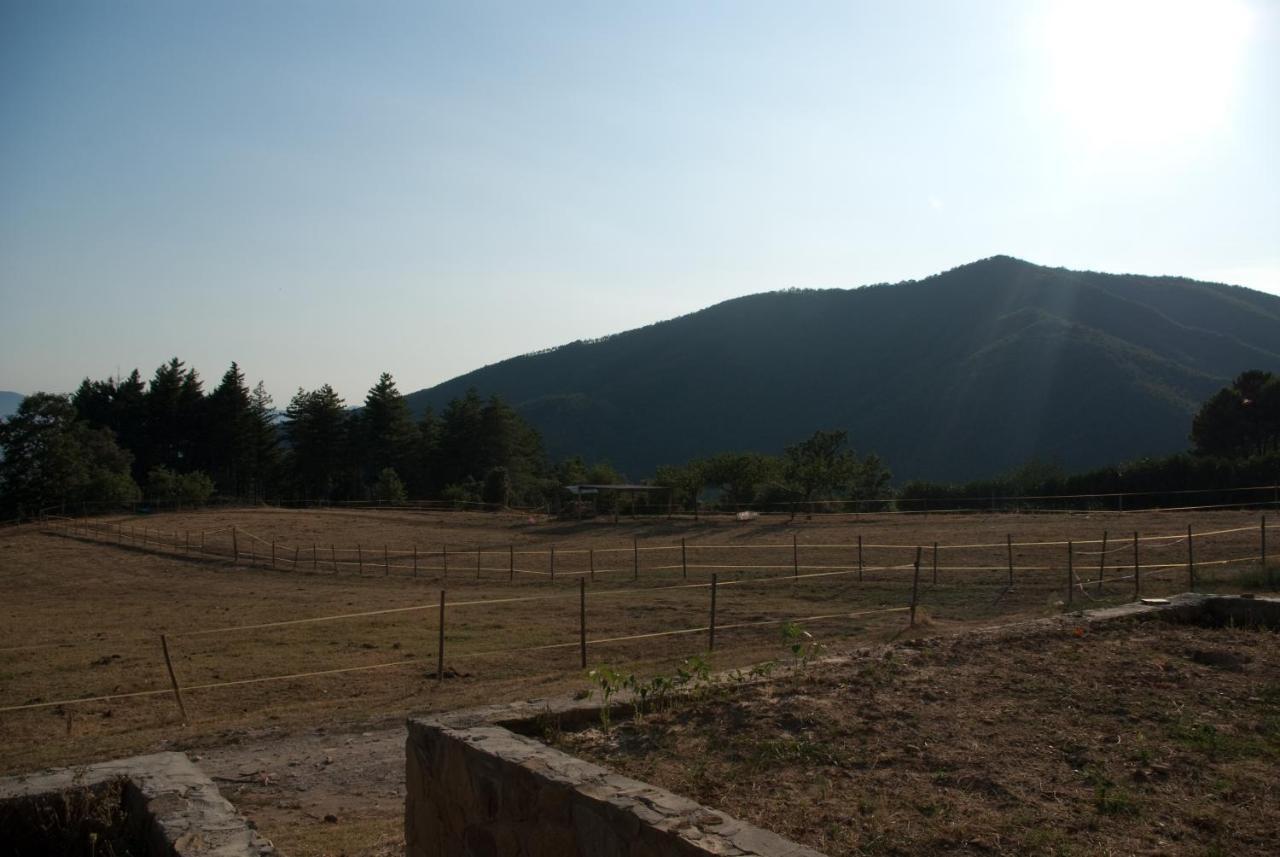 Agriturismo Le Vigne Montale (Tuscany) Exterior photo